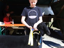 2019_ausstellung polling_287